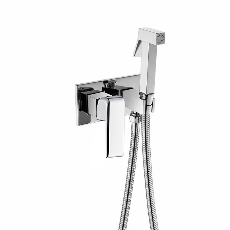 خلاط دش مطري مثبت على الحائط مع تحسينات مخفية